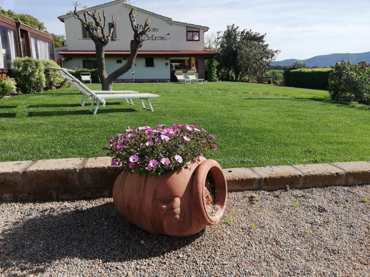 Villa Agriturismo Diaccia Botrona à Castiglione della Pescaia Extérieur photo